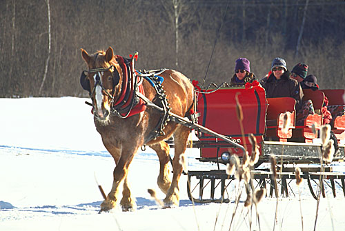 Vermont Winter Sleigh Ride Photo