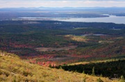 Cadillac Mountain fall foliage photo, Acadia National Park, Maine