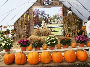 Adams Farm, Cumberland, RI