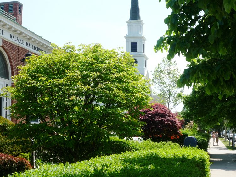 Common Street, Walpole, MA photo