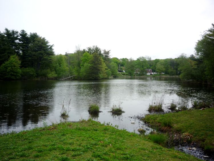 Clark's Pond photo, Walpole, MA