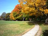 Fall Foliage at Bird Park photo, Walpole, MA