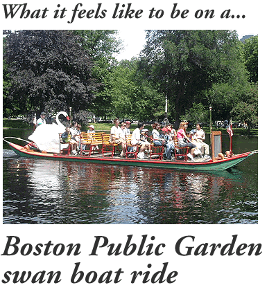 Boston Public Garden Swan Boats