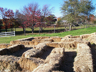 Adams Farm Hay Maze Photo, Cumberland, R.I.