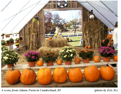 Autumn Scene Photo, Adams Farm, Cumberland, RI