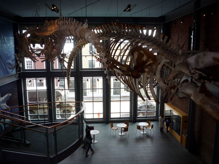 New Bedford Whaling Museum photo