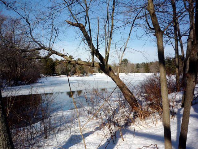 Shovelshop Pond, North Easton, MA