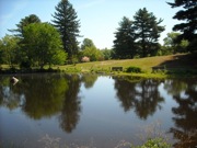 Bird Park photo, Walpole, MA