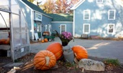 Jane and Paul's Farm photo, Norfolk, MA