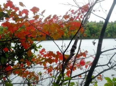 Walden Pond photo, Concord MA
