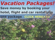 Vacations packages graphic