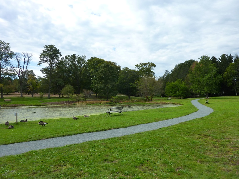 New paved walking path around Willow Pond at Bird Park in Walpole, Massachusetts.