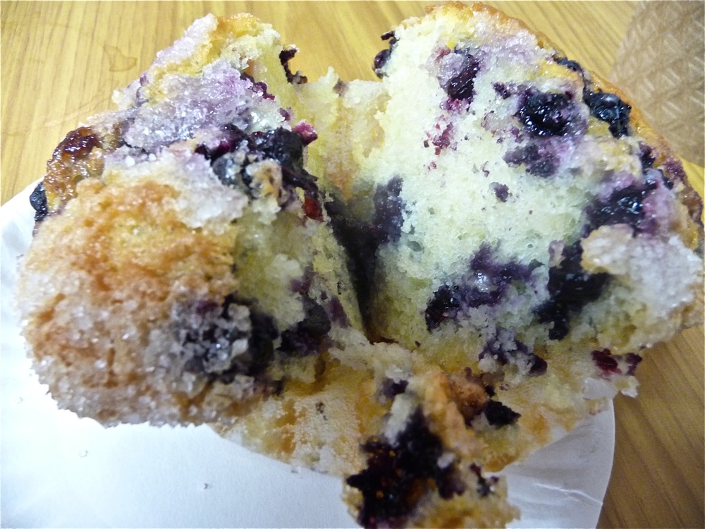Bluberry Muffin from the Muffin House Cafe in MEdway MA