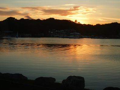 Palmer's Cove at the Fisherman Restaurant, Noank, Conn.