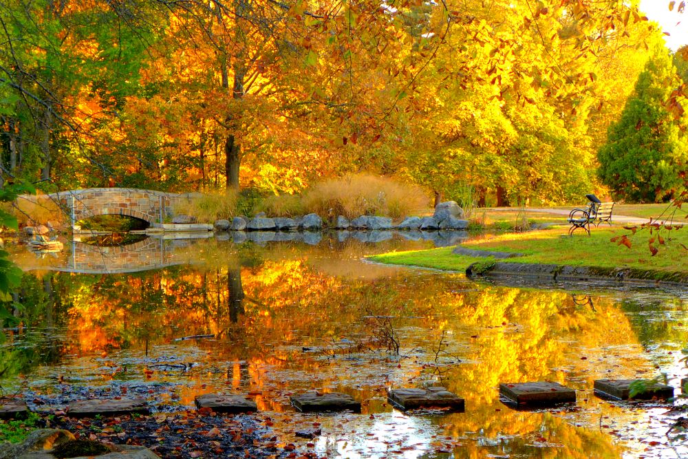 Bird Park during autumn in East Walpole, MA