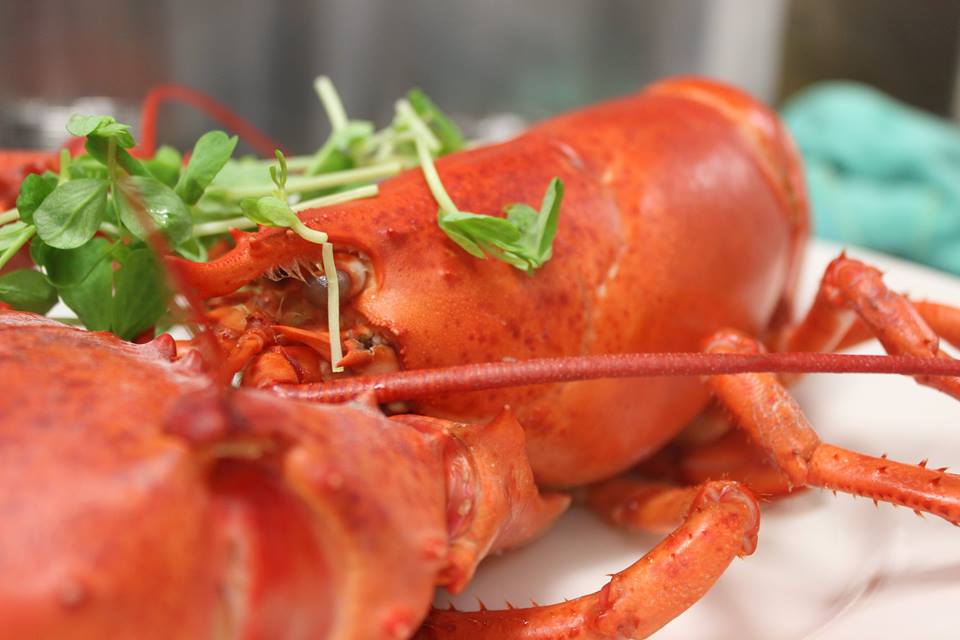 Locally-caught lobster from the Coast Guard House, Narragansett, R.I.