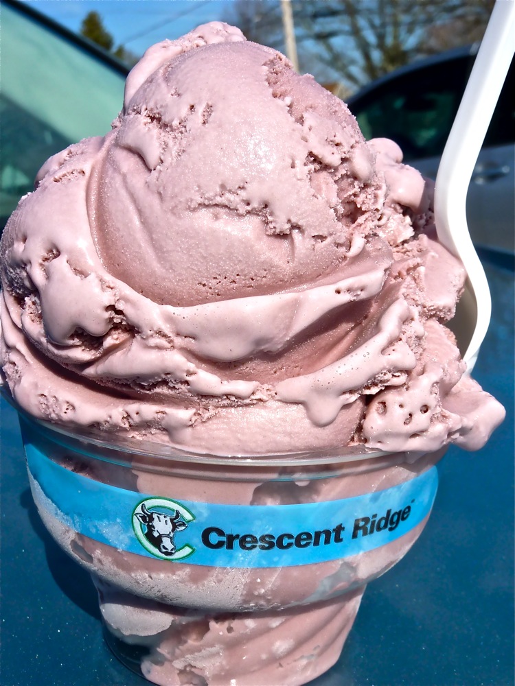 Black raspberry ice cream from Crescent Ridge Dairy Bar in Sharon, Mass. Regarded as one of the best ice cream stands in the world by National Geographic!