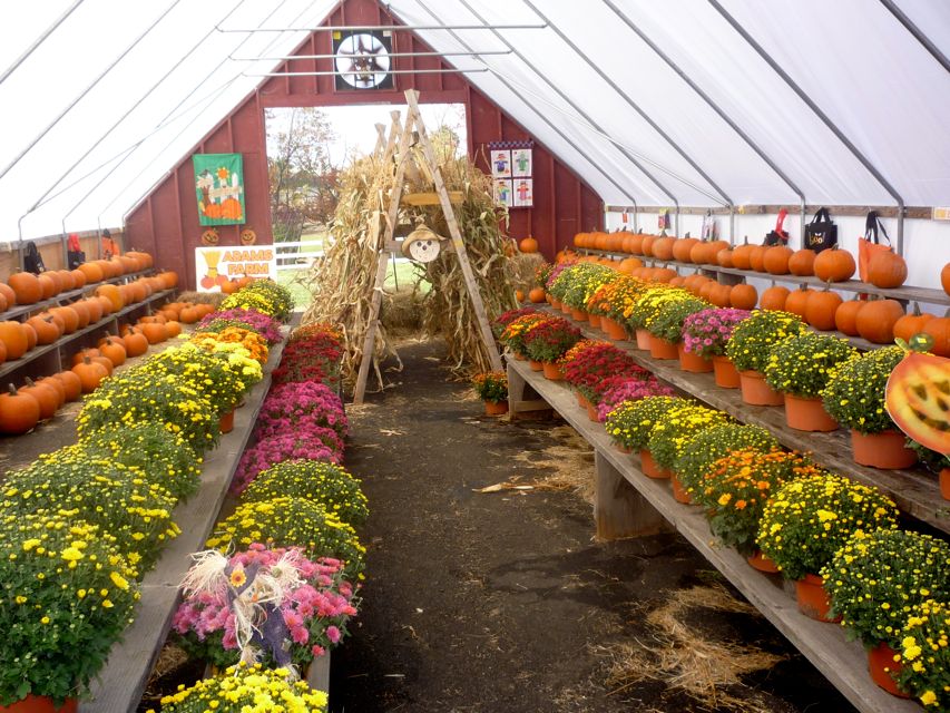 Photo of Adams Farm during the fall, Cumberland RI