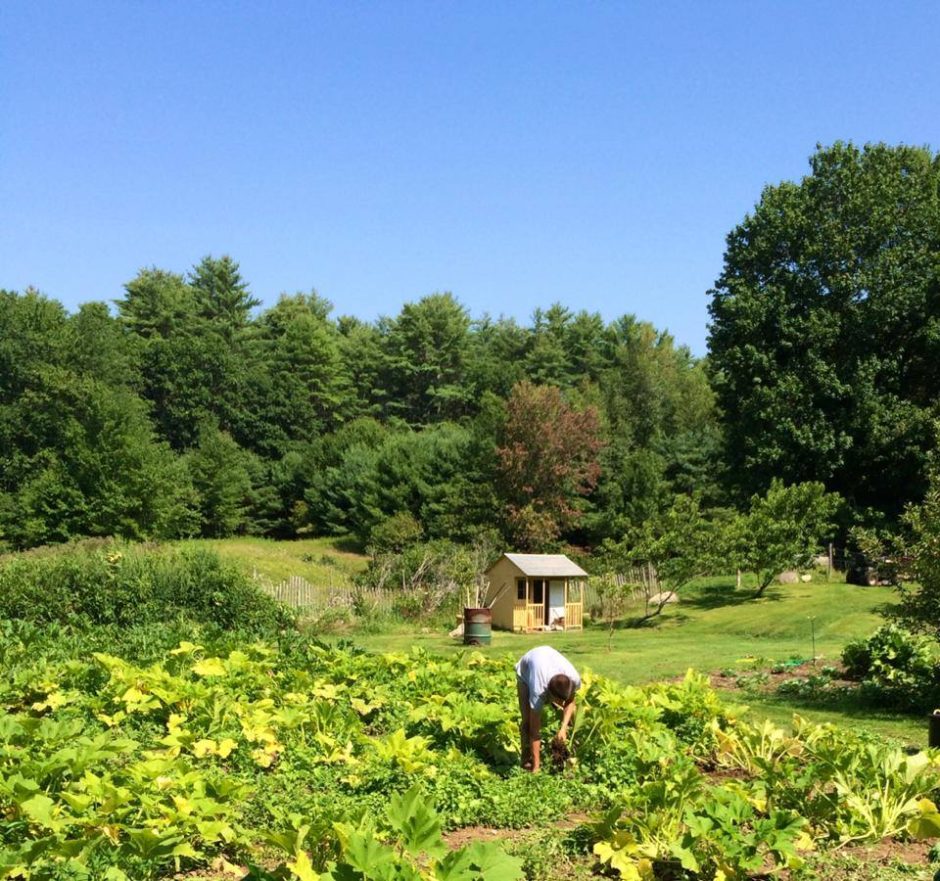 Jonathan West, Owner of Jonathan's Restaurant in Ogunquit, Maine, has his own farm that supplies the restaurant with fresh produce and lamb.