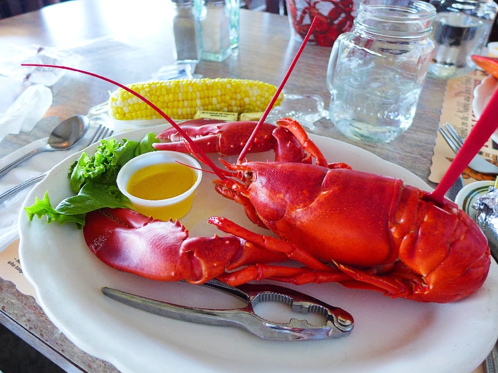 Maine lobster from Fox's Lobster House in York, ME.