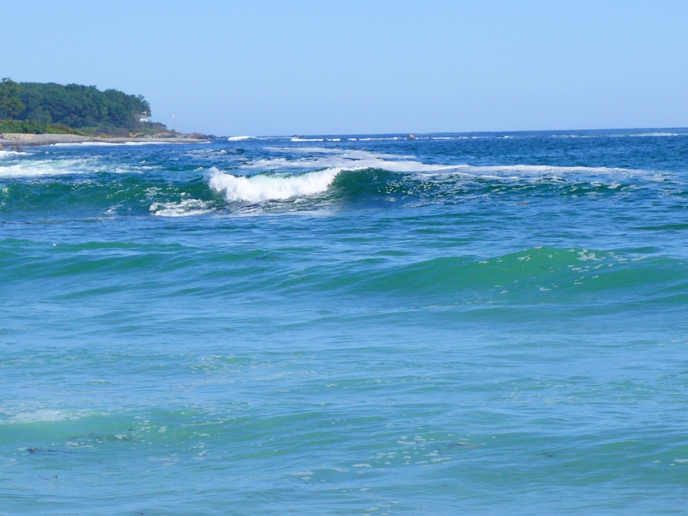 Green-tinged waves at Short Sands Beach in York Beach, Maine.