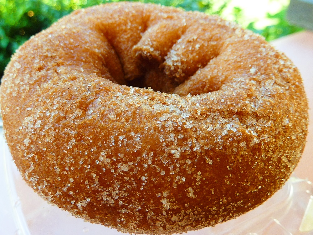 Apple cider donut from Out Post Farm in Holliston, Mass.