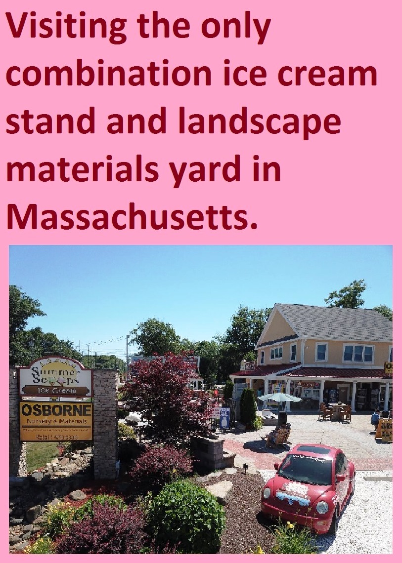 Summer Scoops at Osborne Nursery in Plainville, Mass.: A joyous visit to the only combination ice cream stand, nursery and landscape material yard in Massachusetts.