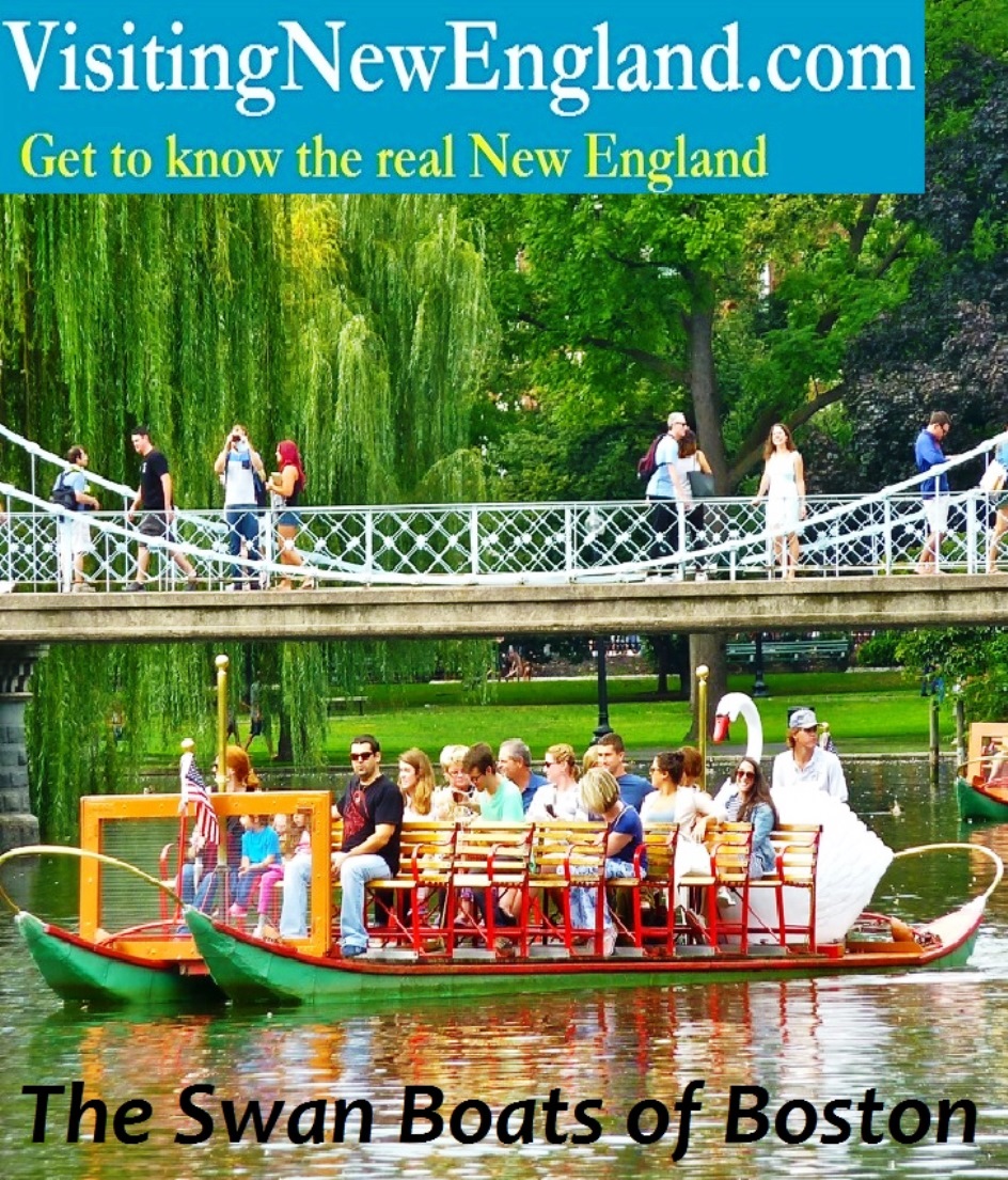 The Swan Boats of Boston are like a rite of passage into a Boston summer.