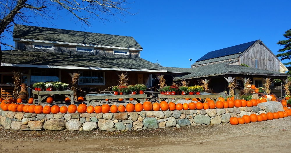 Tangerini's Farm in Millis, MA