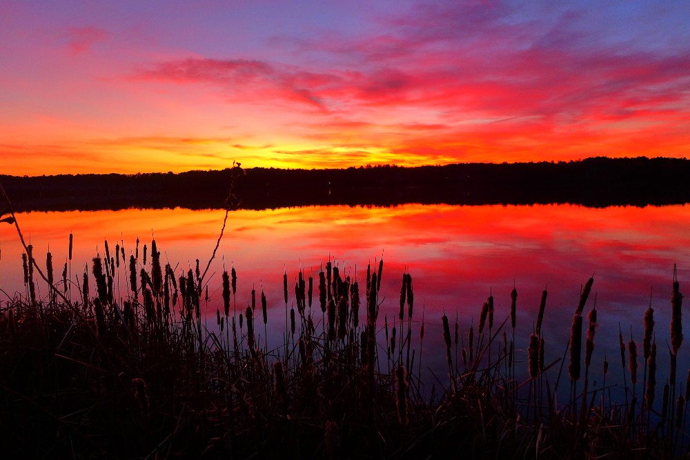 Sunset at Willett Pond in Walpole, Mass.